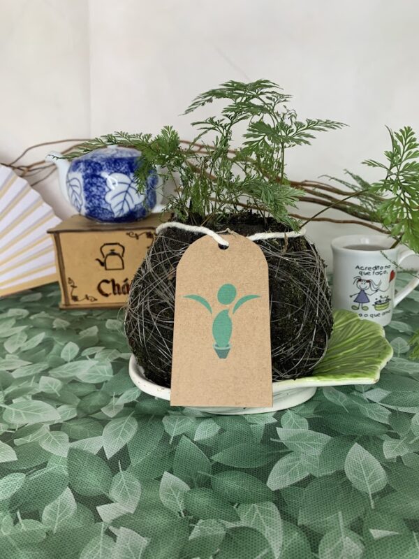 Kokedama Baby Renda - Imagem 2
