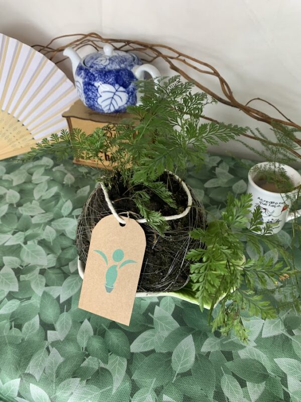 Kokedama Baby Renda