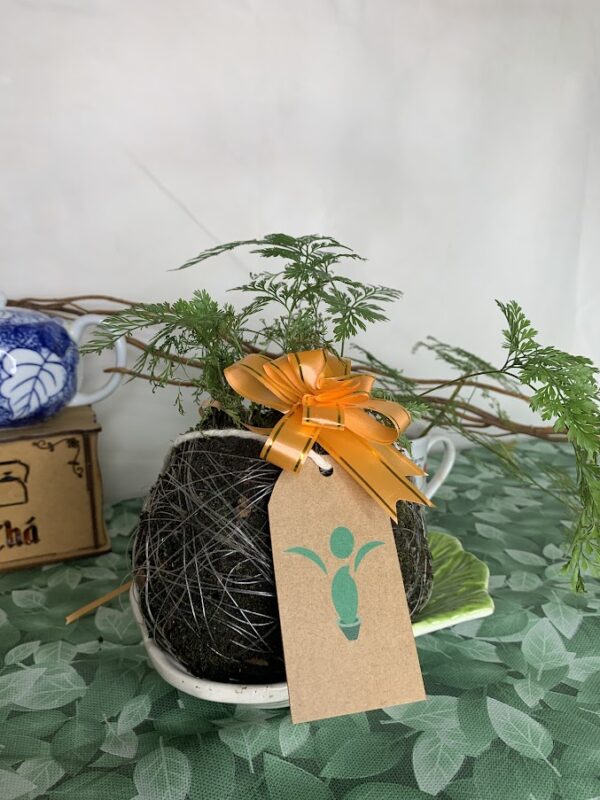 Kokedama Baby Renda - Imagem 7