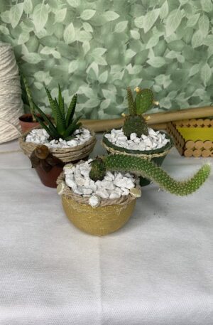 KIT 3 Vasinhos Cimento Cactos Variados